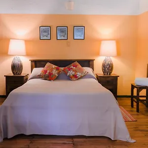  Hostal Chocolate Colombia
